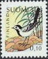White Wagtail (Motacilla alba)