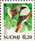 Common Redstart (Phoenicurus phoenicurus)