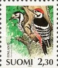 White-backed Woodpecker (Dendrocopos leucotos)