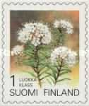 Wild Rosemary (Ledum palustre)