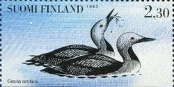 Black-throated Loon (Gavia arctica)