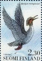 Common Merganser (Mergus merganser)