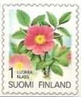 Prickly Wild Rose (Rosa acicularis)