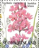 Sticky Catchfly (Lychnis viscaria)