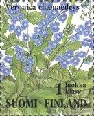 Germander Speedwell (Veronica chamaedrys)