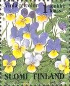 Heartsease (Viola tricolor)