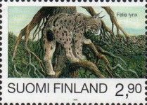Eurasian Lynx (Lynx lynx)