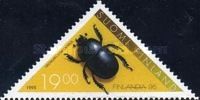 Common Dor Beetle (Geotrupes stercorarius)