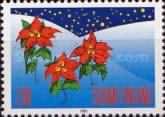 Christmas, Flowers in the Snow - Poinsettias