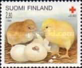 Domestic Chicken (Gallus gallus domesticus) - Chicks
