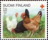 Domestic Chicken (Gallus gallus domesticus) - Chickens