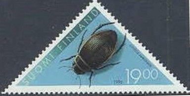 Great Diving Beetle (Dytiscus marginalis)