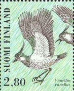 Northern Lapwing (Vanellus vanellus)