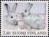 Easter, Mountain Hare (Lepus timidus)
