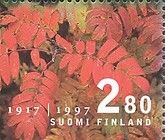 Coloured leaves, Autumn