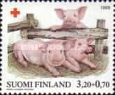 Three Piglets (Sus scrofa domestica)