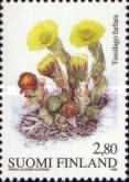 Spring, Coltsfoot (Tussilago farfara)