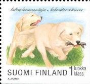 Labrador Retriever (Canis lupus familiaris)