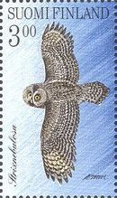 Great Grey Owl (Strix nebulosa)
