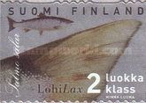 Atlantic Salmon (Salmo salar)