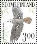 Thrush Nightingale (Luscinia luscinia)
