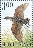 Corn Crake (Crex crex)