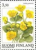 Kingcup (Caltha palustris)