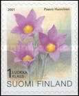 Eastern pasqueflower (Pulsatilla patens) - Type I