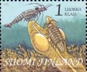Chameleon Shrimp (Praunus inermis), Baltic Isopod (Idotea ba