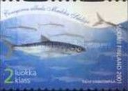 Vendace (Coregonus albula)