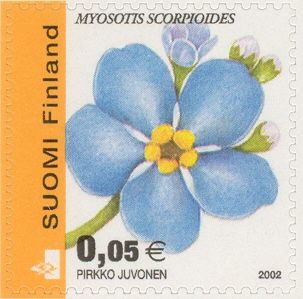 Water Forget-me-not (Myosotis scorpioides) perf 15