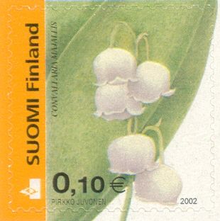 Lily of the Valley (Convallaria majalis)