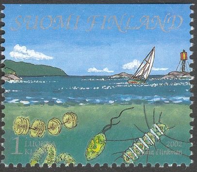 Sailboat, Phytoplankton
