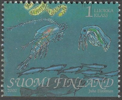 Zooplankton, Herring (Clupea harengus), Cod (Gadus morrhua)