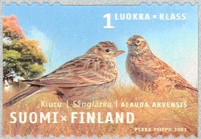 Eurasian Skylark (Alauda arvensis)