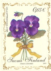 Easter, Violet (Viola Wittrockiana-hybr.)