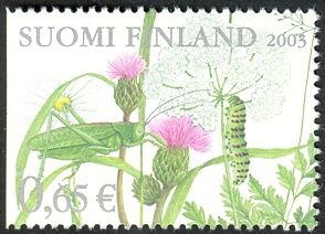 Upland Green Bush Cricket (Tettigonia cantans)