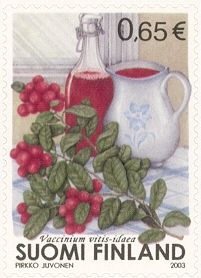 Lingonberry (Vaccinium vitis-idaea)