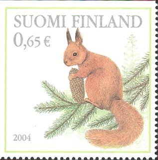 Eurasian Red Squirrel (Sciurus vulgaris)