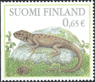 Viviparous Lizard (Zootoca vivipara)