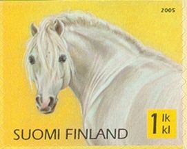 White Welsh Mountain Pony (Equus ferus caballus)