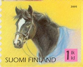 New Forest Pony (Equus ferus caballus)