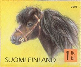 Shetland Pony (Equus ferus caballus)