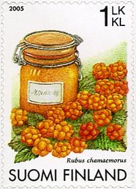 Cloudberry (Rubus chamaemorus)