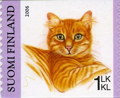 Red-striped House Cat (Felis silvestris catus)
