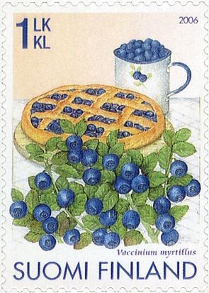 Blueberry (Vaccinium myrtillus)