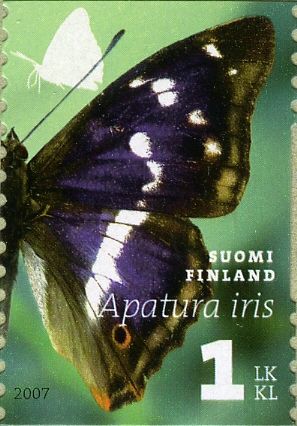 Purple Emperor (Apatura iris)