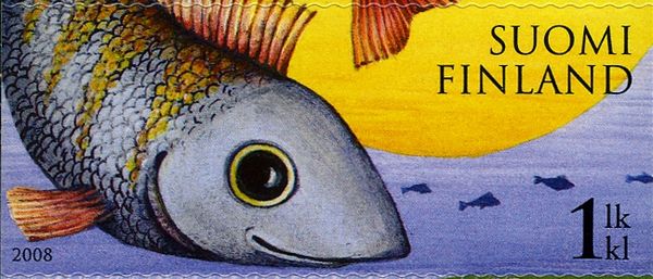 Rain or Sunshine? - Perch red Fin