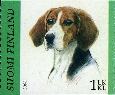 Finnish Hound (Canis lupus familiaris)