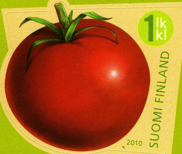 Tomato